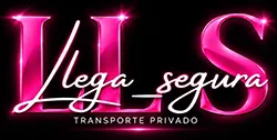 llegasegura.cl